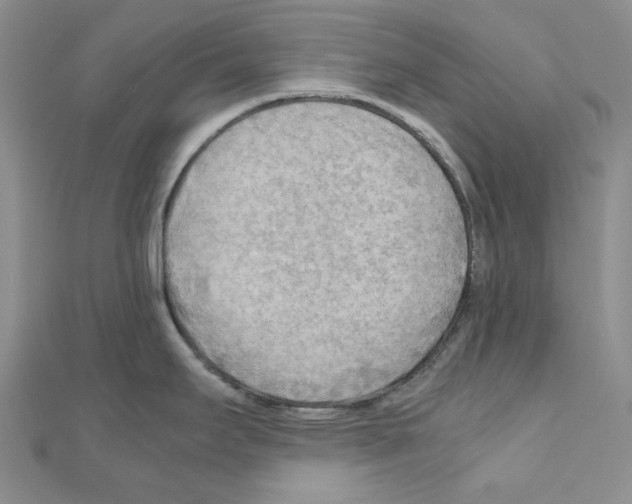 X0000110931295200907301615