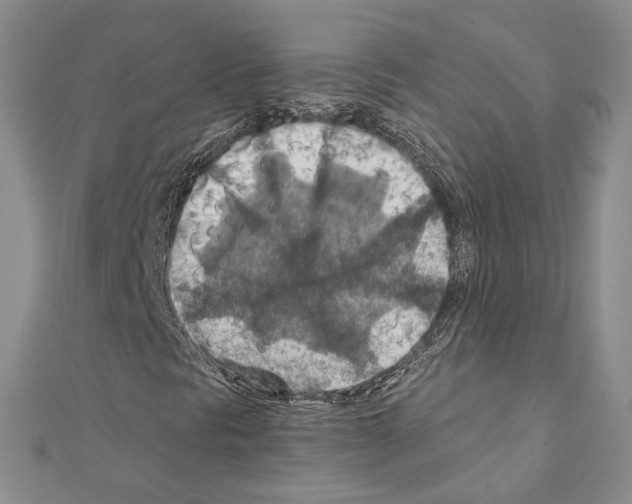 X0000110931297200907301615