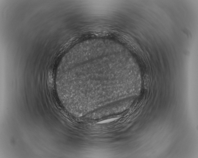 X0000110931298200907301615
