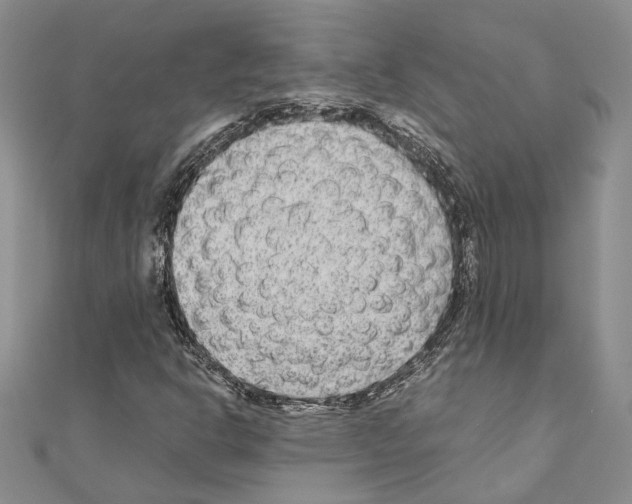 X0000110931302200907301615