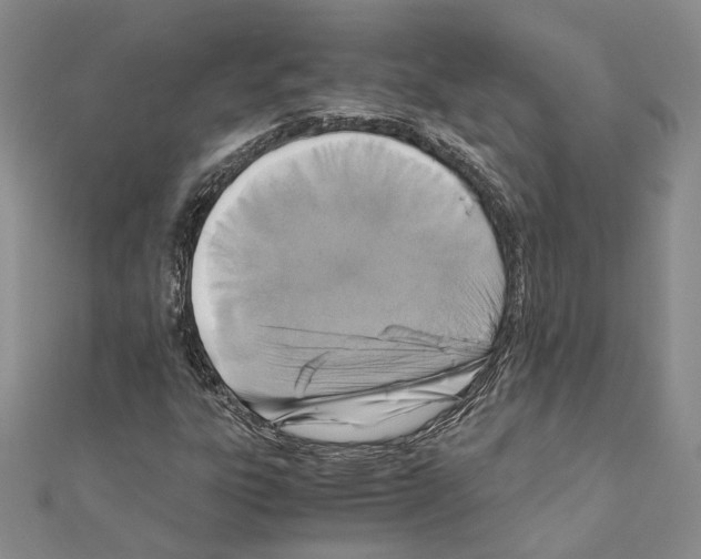 X0000110931303200907301615