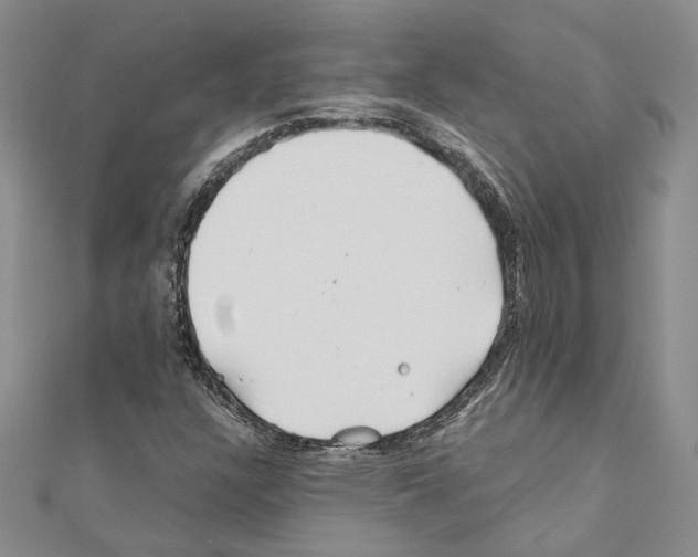 X0000110931304200907301615