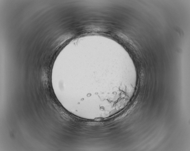 X0000110931305200907301615