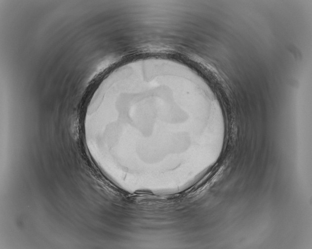 X0000110931306200907301615