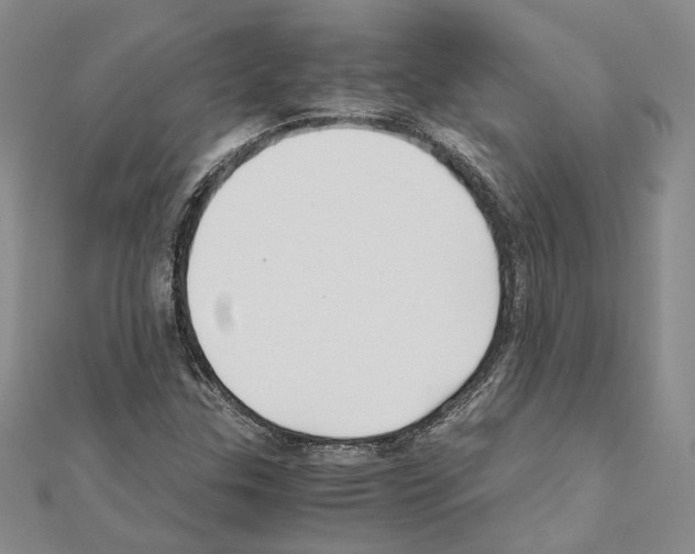 X0000110931307200907301615