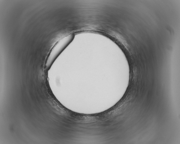X0000110931308200907301615