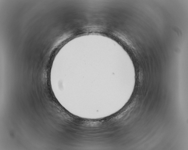 X0000110931309200907301615