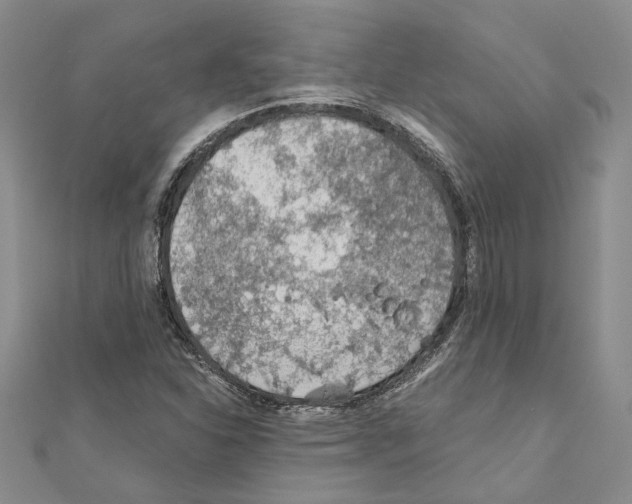 X0000110931310200907301615