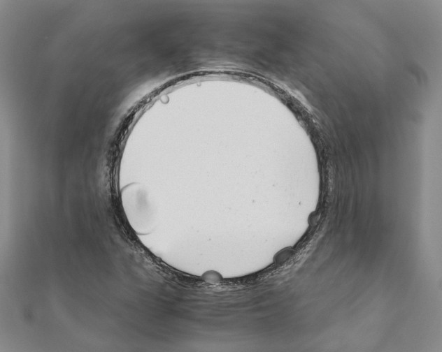 X0000110931311200907301615