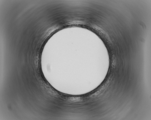 X0000110931313200907301615