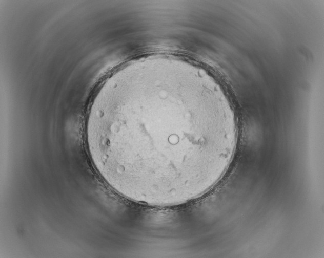 X0000110931314200907301615