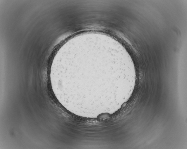 X0000110931315200907301615