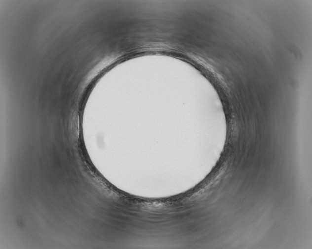 X0000110931317200907301615