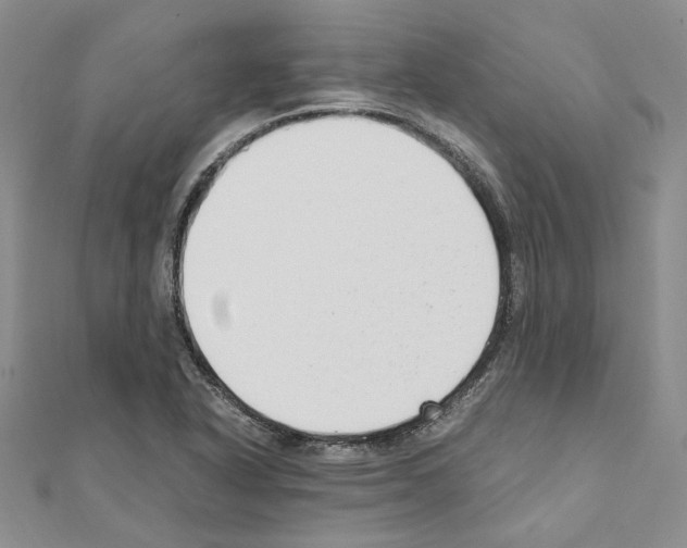 X0000110931318200907301615