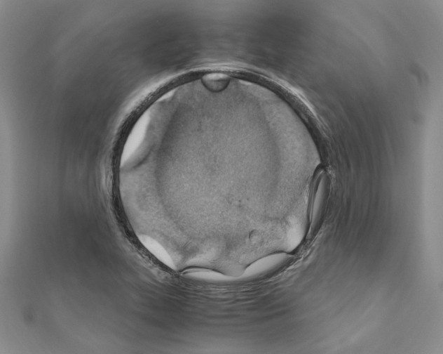 X0000110931319200907301615