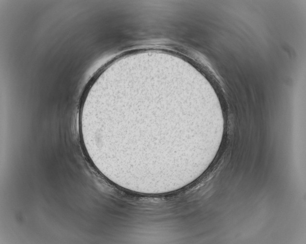 X0000110931320200907301615