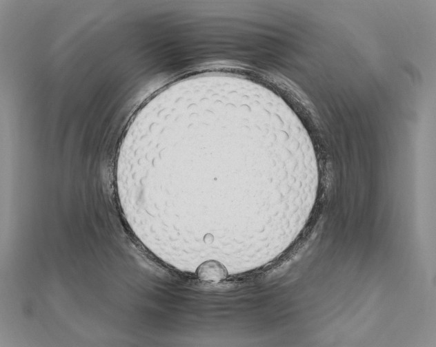 X0000110931321200907301615