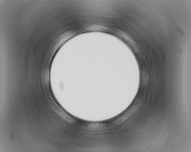 X0000110931322200907301615