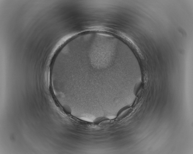 X0000110931323200907301615