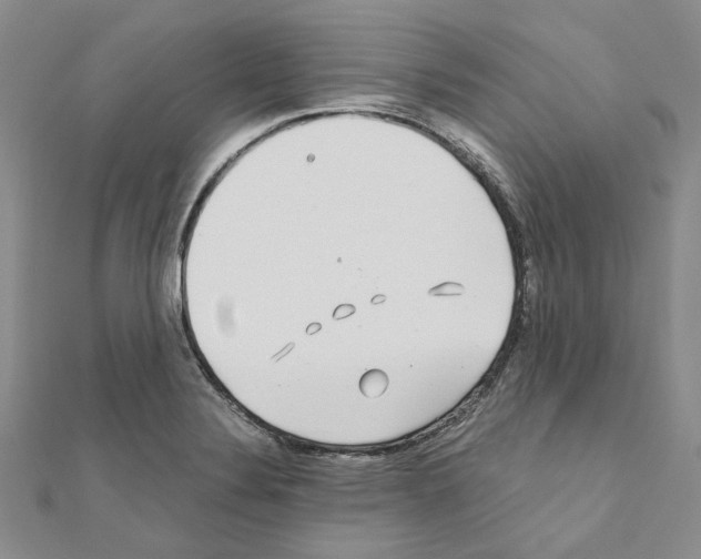 X0000110931324200907301615