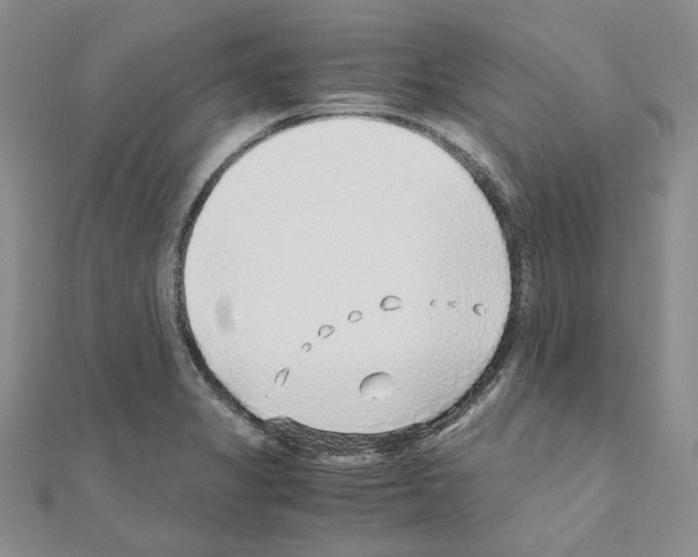 X0000110931325200907301615