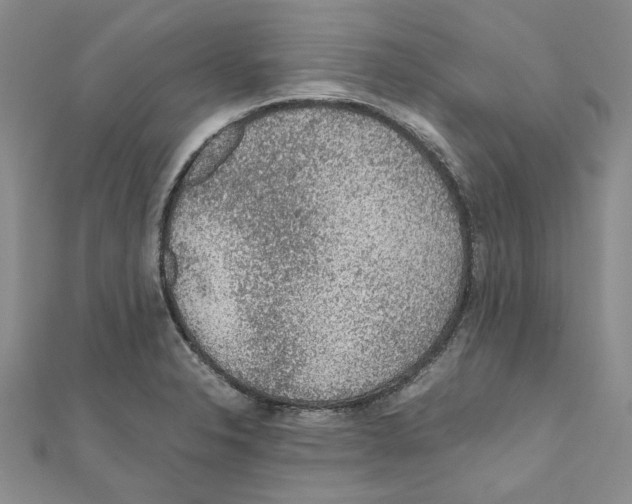X0000110931326200907301615