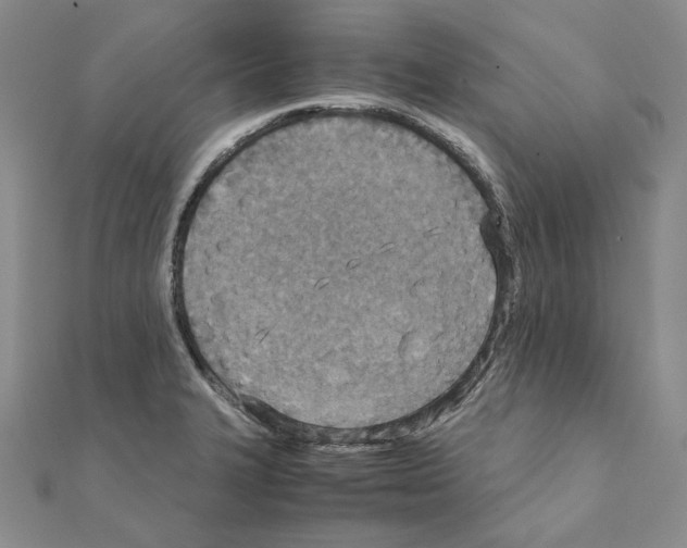 X0000110931327200907301615