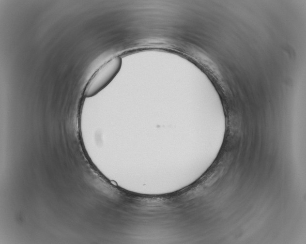 X0000110931328200907301615
