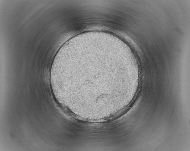 X0000110931329200907301615