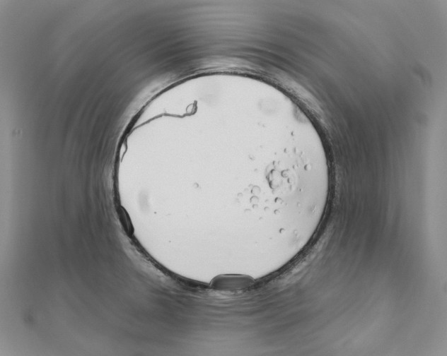 X0000110931330200907301615