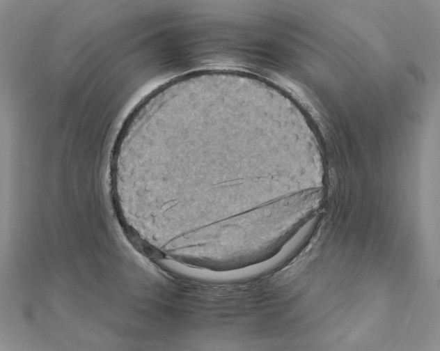 X0000110931331200907301615