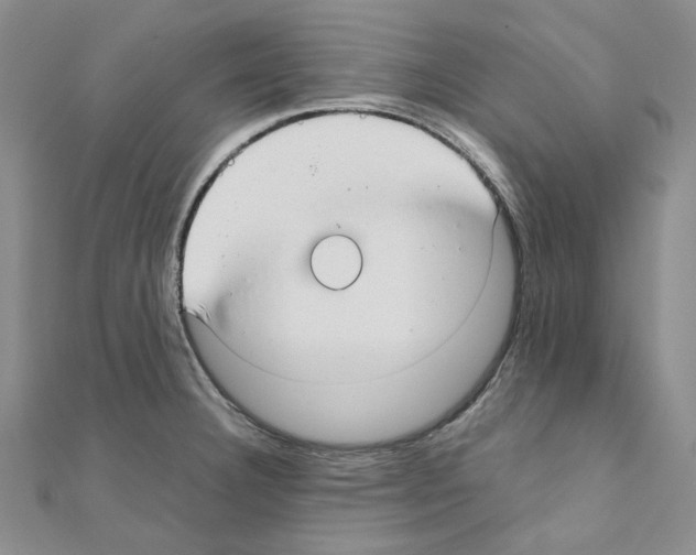 X0000110931332200907301615