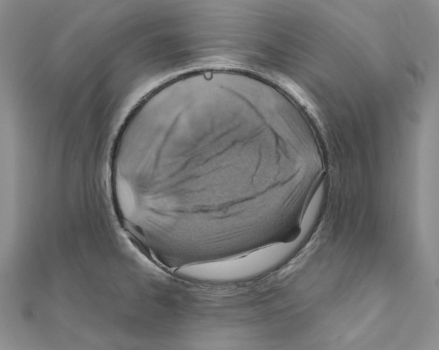 X0000110931334200907301615