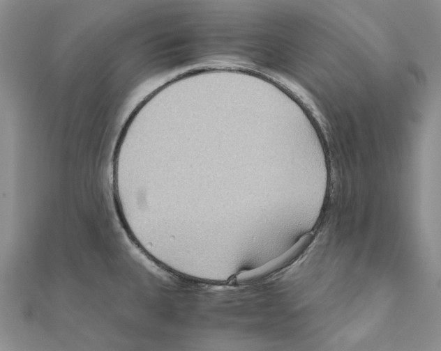 X0000110931335200907301615