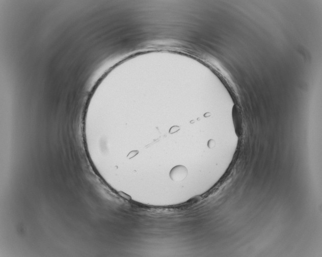 X0000110931336200907301615