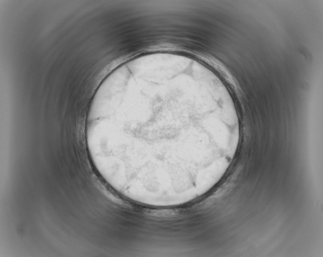 X0000110931337200907301615