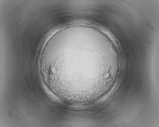 X0000110931338200907301615