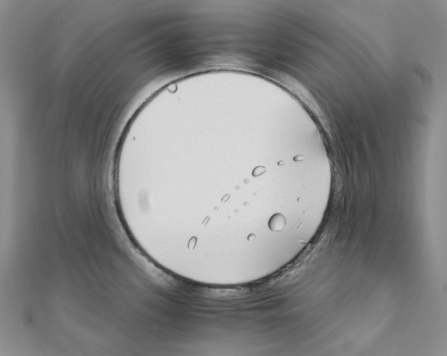 X0000110931339200907301615