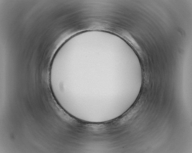 X0000110931340200907301615