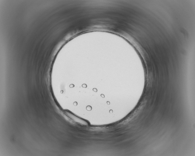 X0000110931341200907301615