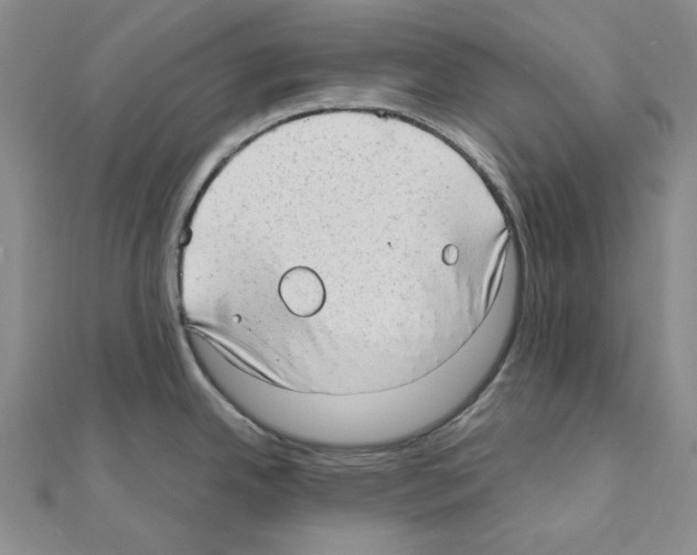 X0000110931342200907301615