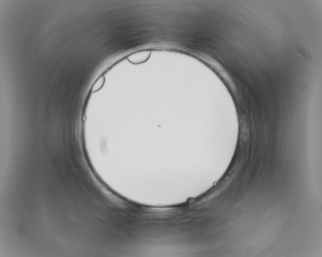 X0000110931343200907301615