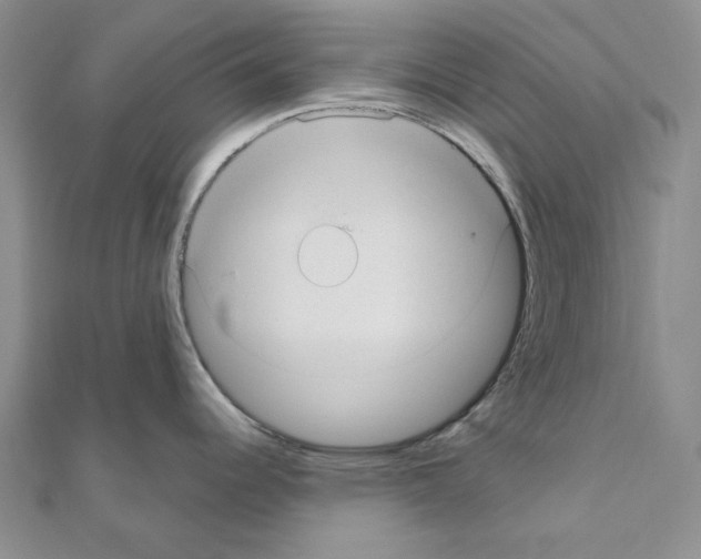 X0000110931344200907301615
