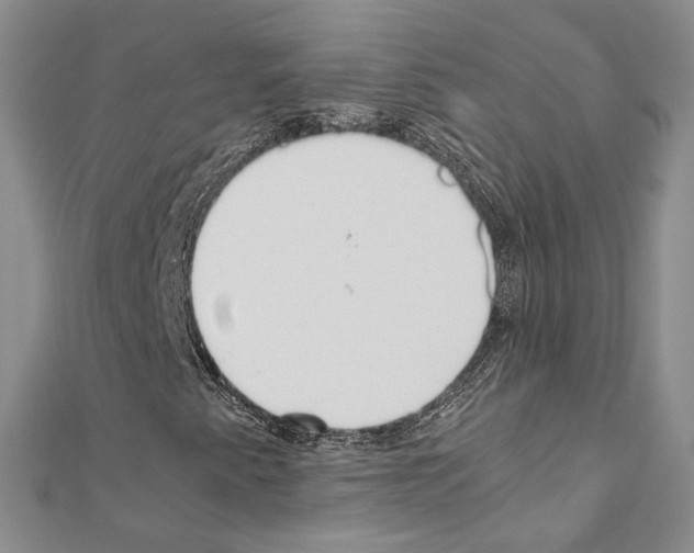 X0000110931345200907301615