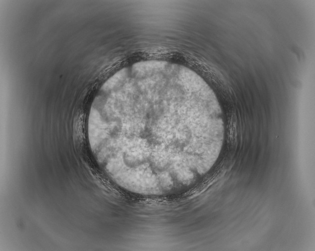 X0000110931346200907301615