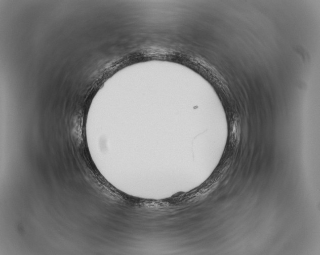 X0000110931348200907301615