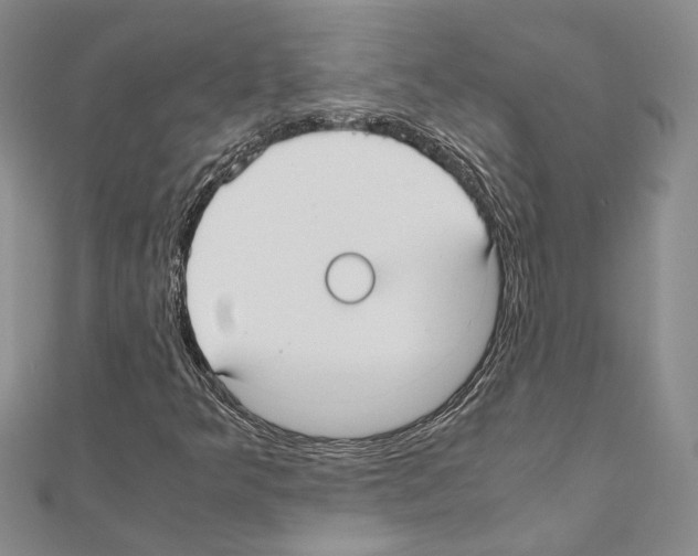 X0000110931349200907301615