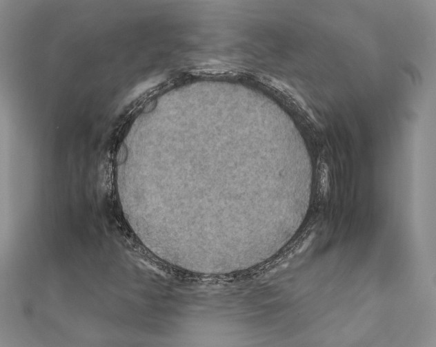 X0000110931350200907301615