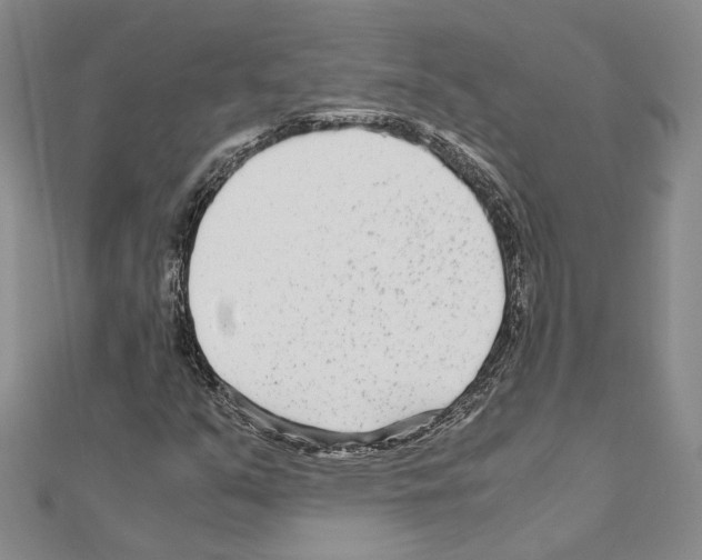 X0000110931351200907301615
