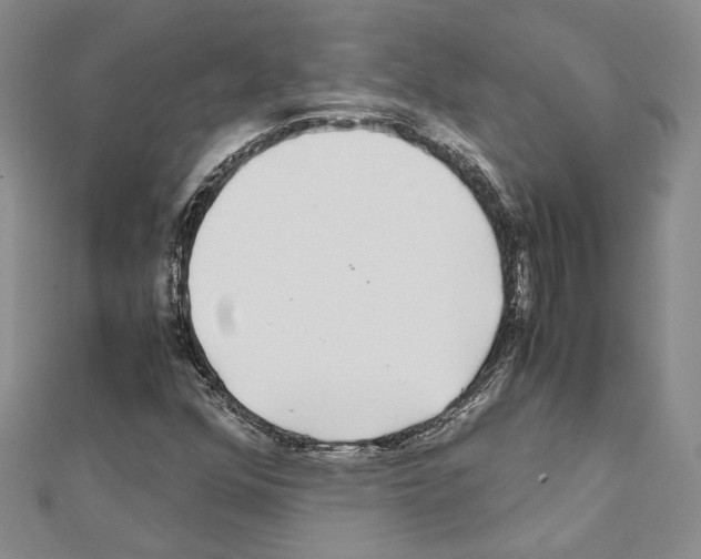 X0000110931352200907301615